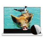 VIVIDSTORM S PRO Motorised Floor Rising UST Laser Projector Screen - Image 4